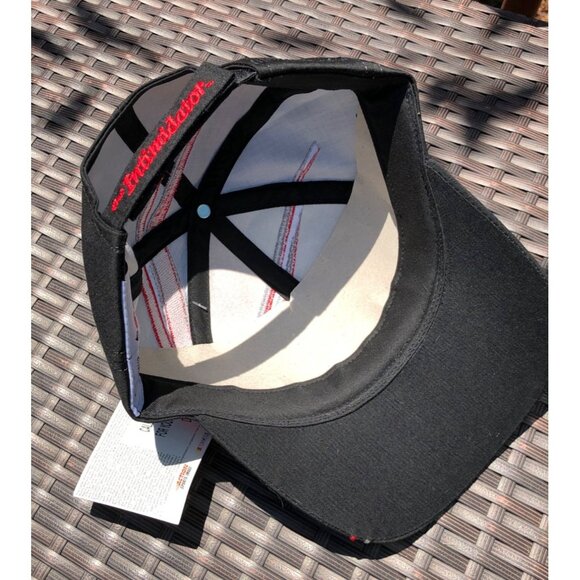 Dale Earnhardt #3 Snap Back Hat NASCAR Embroidered Chase Authentics Two Tone NWT - Picture 11 of 12